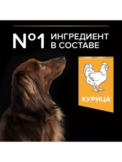 Корм для собак Курица 3кг