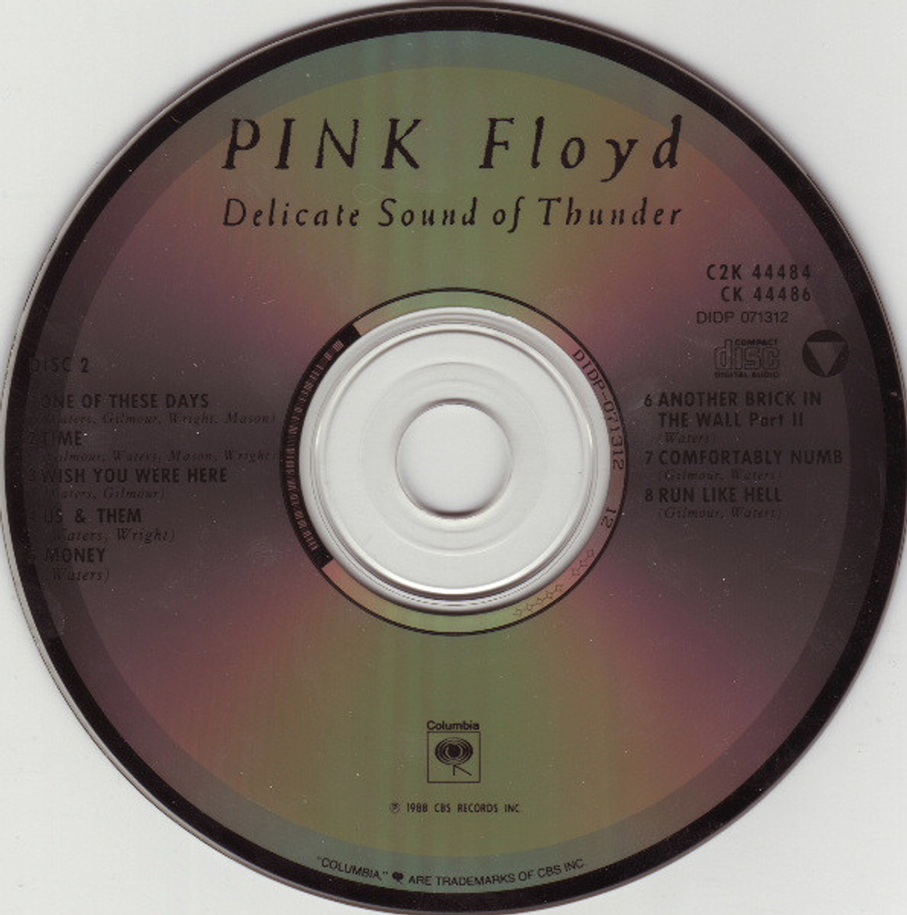 Pink Floyd / Delicate Sound Of Thunder (2CD)