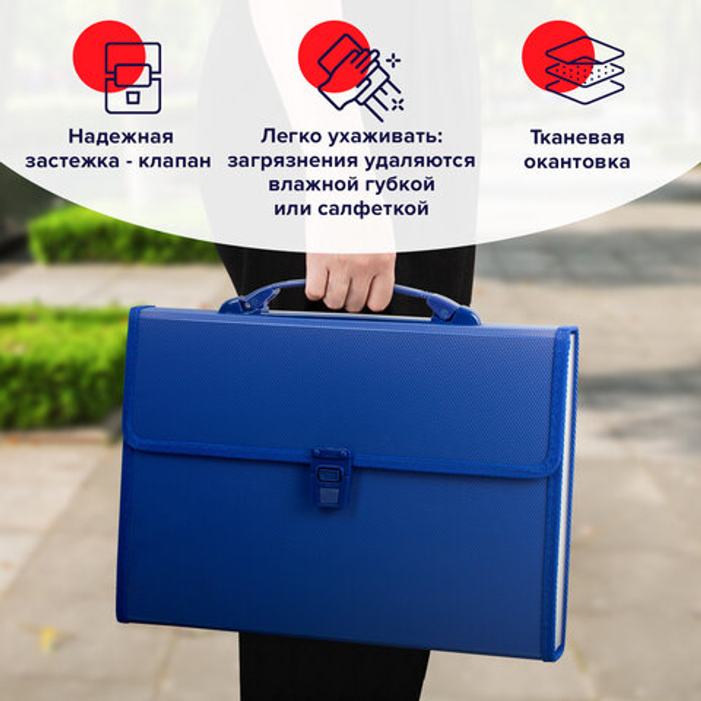 Папка-портфель пласт. BRAUBERG А4 (332х245х35мм), 13 отделений,синий, 221379