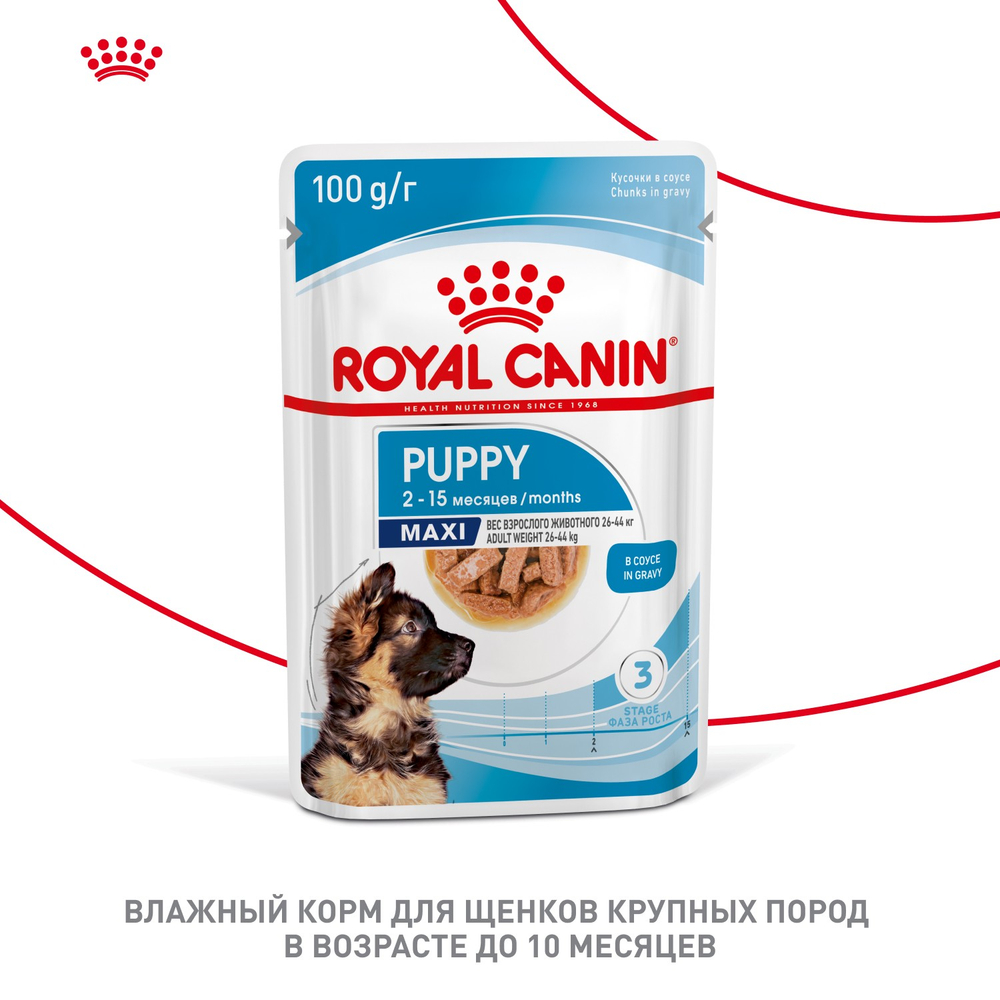 Royal Canin Maxi Puppy Макси Паппи Влажный корм для щенков крупных пород в возрасте до 15 месяцев 100г