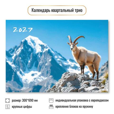 Календарь трио 2027 "Символ года" 10015 (Квадра)