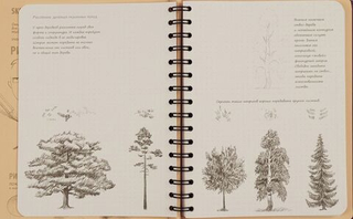 SketchBook. Продвинутые техники. Экспресс-курс рисования
