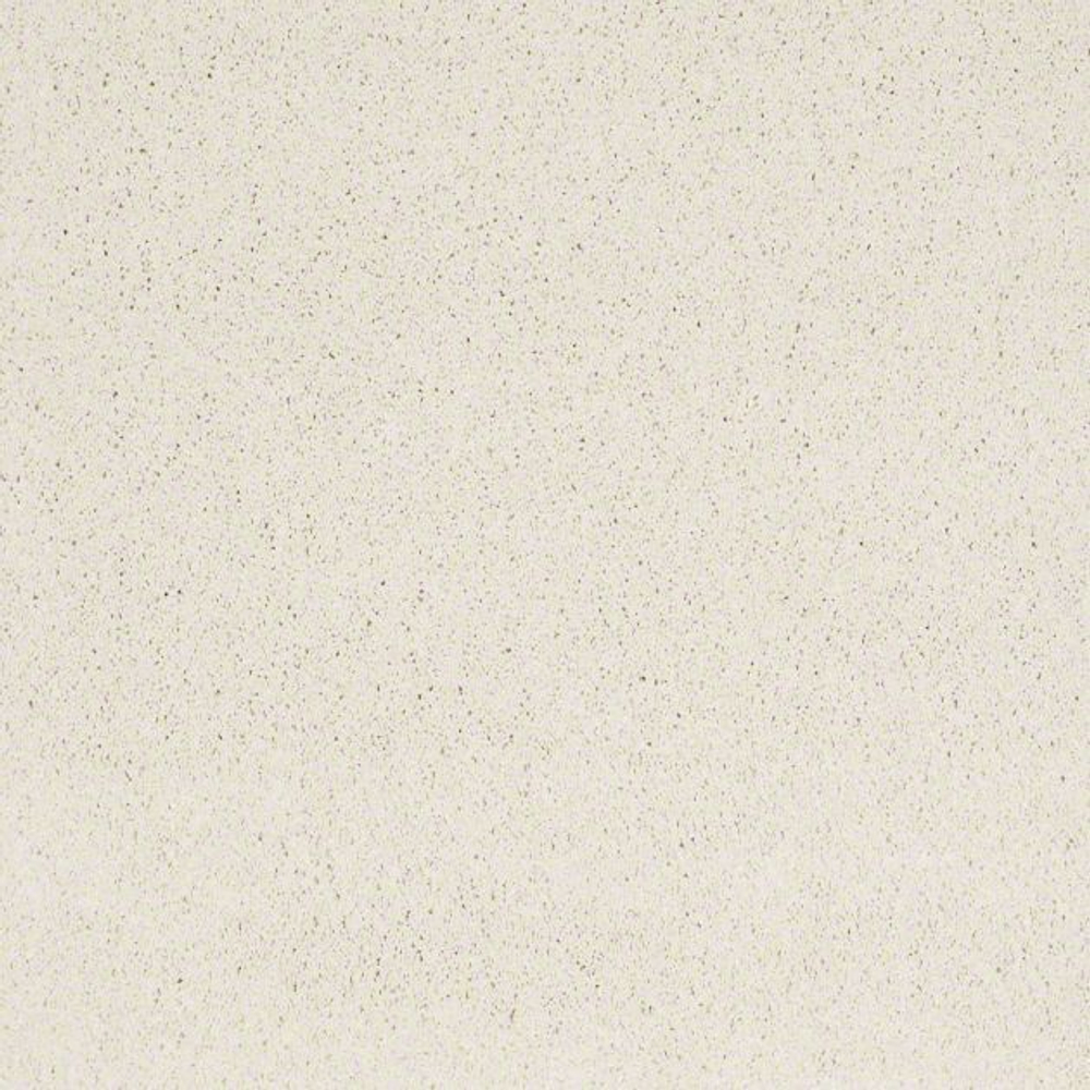 Ковровое покрытие Shaw Floors Cashmere IV 100