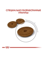 ROYAL CANIN DIGESTIVE CARE (Роял Канин Дайджестив Кэа) корм сухой для кошек Digestive Care 2 кг.
