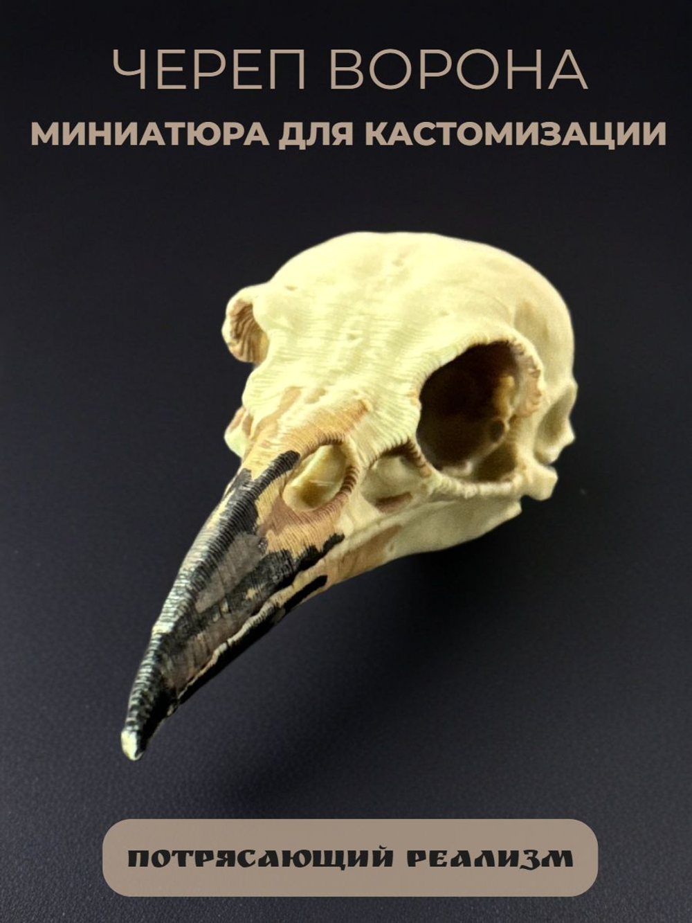 Череп барана миниатюра для декора, настольных игр, тематических предметов, фентези-атрибутов, диорам и инсталяций.