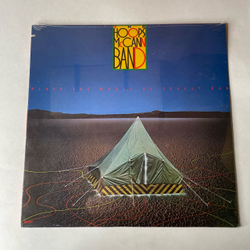 Винтажная виниловая пластинка LP The Hoops McCann Band, Plays The Music Of Steely Dan (США 1988) (Запечатана)