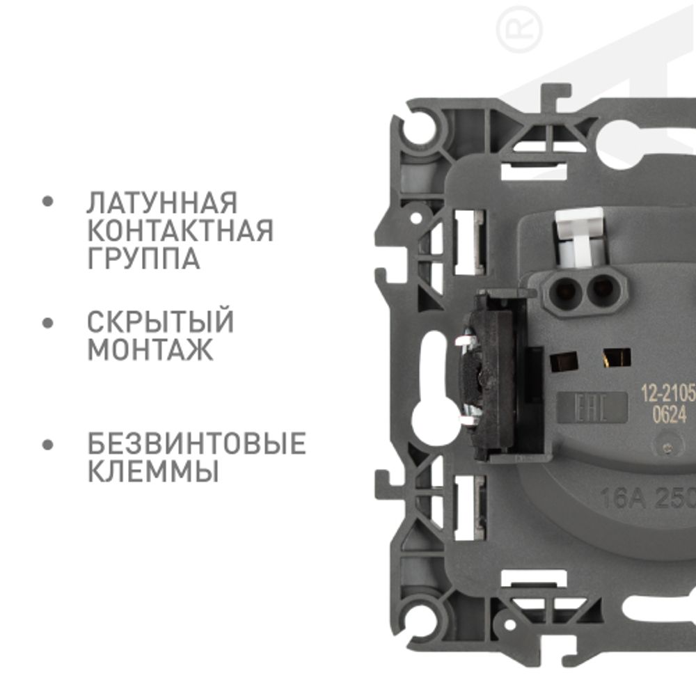 Розетка ЭРА Серия 12 12-2105-16 2P 16А-250В титан | Эра 12