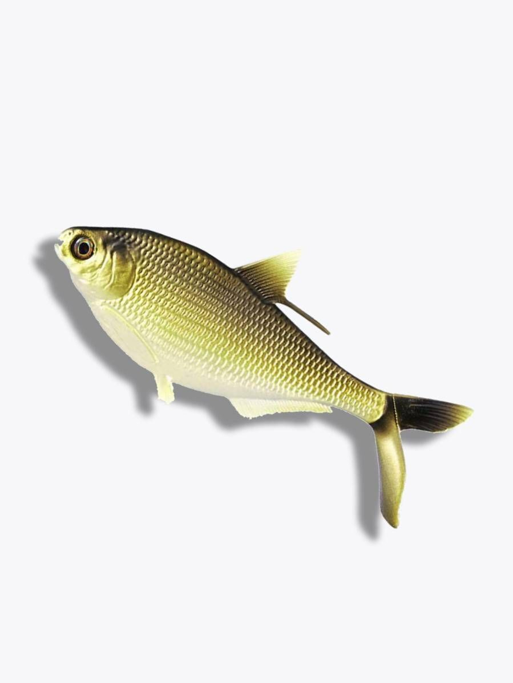 Мягкая приманка B.A.M.F. Shad 8"/ Gold Retriver (1шт./уп.)