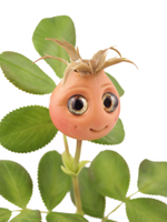Шиповник листья