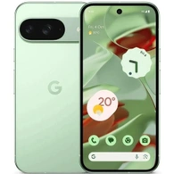 Смартфон Google Pixel 9 12/128Gb Wintergreen
