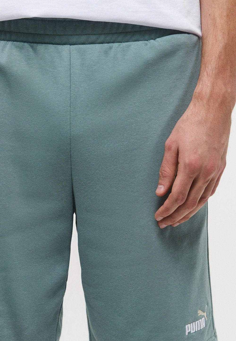 Шорты спортивные мужские PUMA ESS 2 COLOR No. 1 Logo Shorts 10" TR