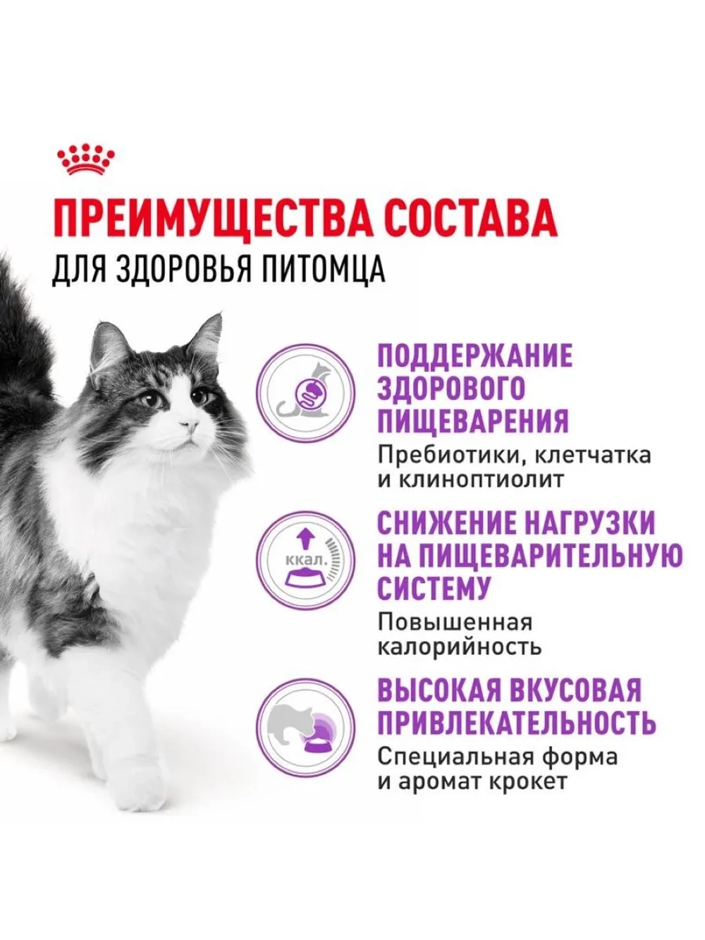 Sensible 33 Корм для кошек с чувствительным пищеварением 2кг
