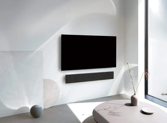 Bang &amp; Olufsen BeoSound Stage Smoked Oak/Grey