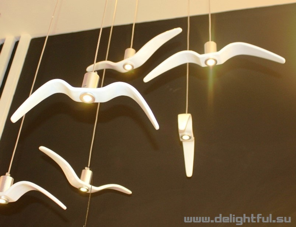 Night-Birds-Brokis 5