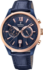 Мужские наручные часы Festina F16998/1