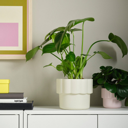 IKEA HÄNGSÄLG  (ИКЕА ХЭНГСЭЛГ)  -  Кашпо - кремовый 15 см