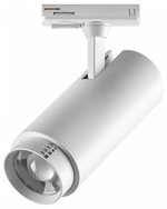 Светильник на штанге Lightstar Fuoco P+CCT 218026