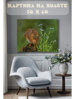 Картина на стену 40 X 50 Белка