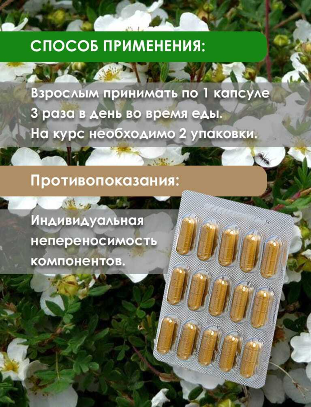 Лапчатка белая, экстракт 60 капсул