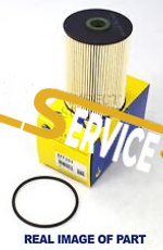 COMLINE - EFF161