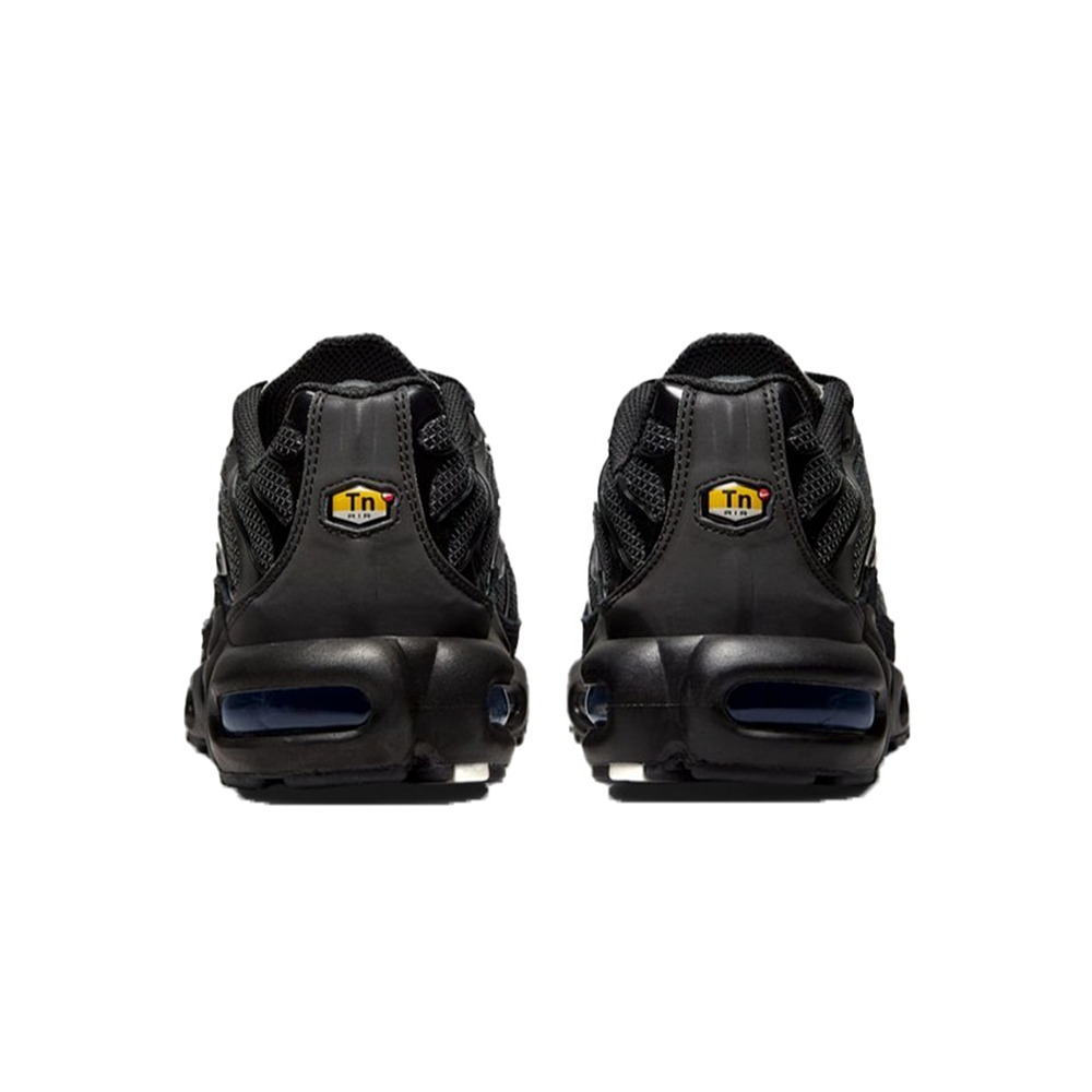 Nike Air Max Plus WMNS "Black Silver"
