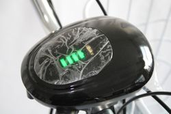 Электробайк GreenCamel Трайк-24 V3 (R24 350W 48V12Ah) 7 скор