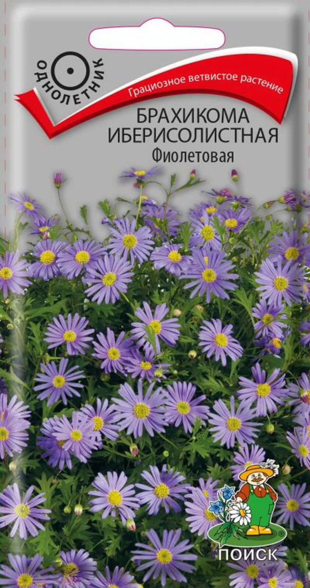 Брахикома иберисолистная Смесь окрасок 0,03гр Поиск