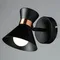 Спот Baltimore A1406AP-1BK Arte Lamp
