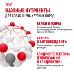 Royal Canin Giant Adult Джайнт Эдалт Корм сухой для взрослых собак очень крупных пород от 18 месяцев 15кг