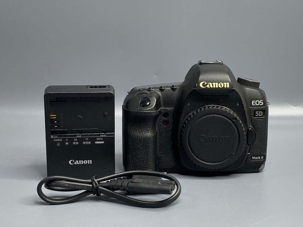 Canon EOS 5D Mark II — 170 000 кадров