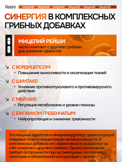 Рейши Линчжи 180 капсул