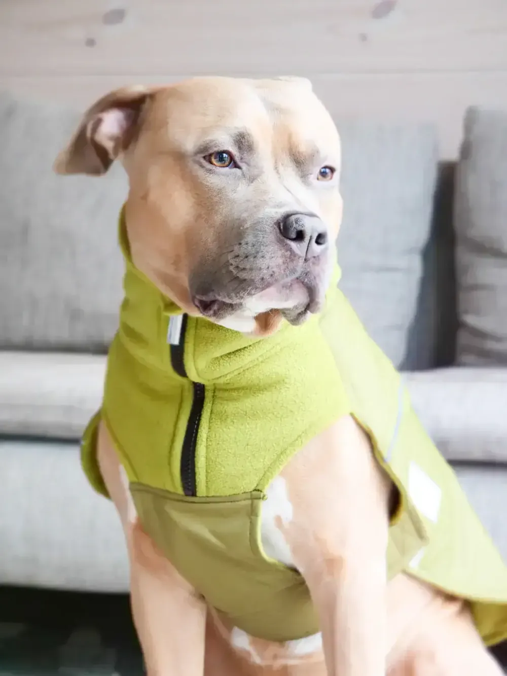 Непромокаемая попона Dog Coat BullyBillows