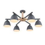 Люстра на штанге Lumion Colange 8096/6C