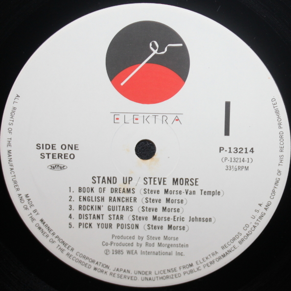 Steve Morse Band / Stand Up (LP)