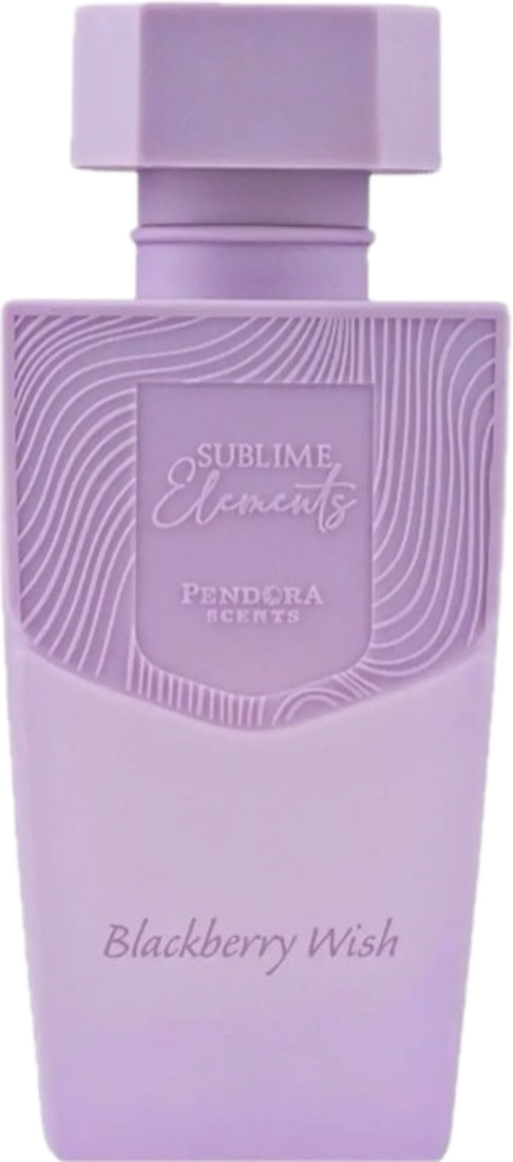 Pendora Scents Blackberry Wish Eau De Parfum 100 ml