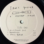 Sonic Youth – A Thousand Leaves (США 1998г.) Т