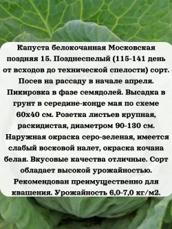 Семена капуста белокочанная Московская поздняя 15 5 гр