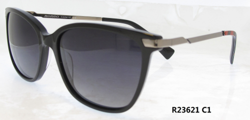 R23621