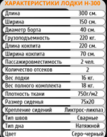 Муссон Лодка, 300 см н-300 серый