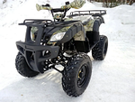 Квадроцикл PROMAX ATV 250 (2025)
