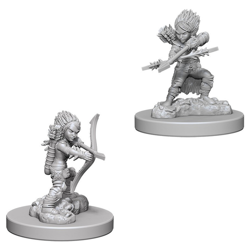 Female Gnome Rogue / Гномихи-плутовки