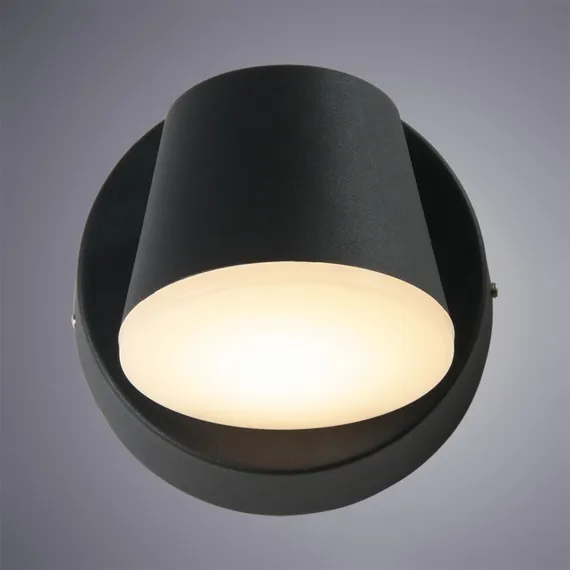 Настенный светильник уличный Chico A2212AL-1BK Arte Lamp