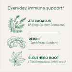 Traditional Medicinals, Organic Stress Ease® Immune, согревающая приправа с грибами рейши, без кофеина, 16 чайных пакетиков в упаковке, 28 г (0,99 унции)