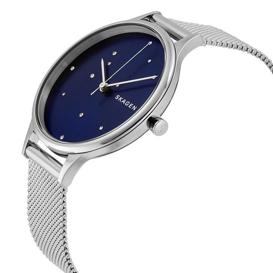 Наручные часы Skagen SKW2391