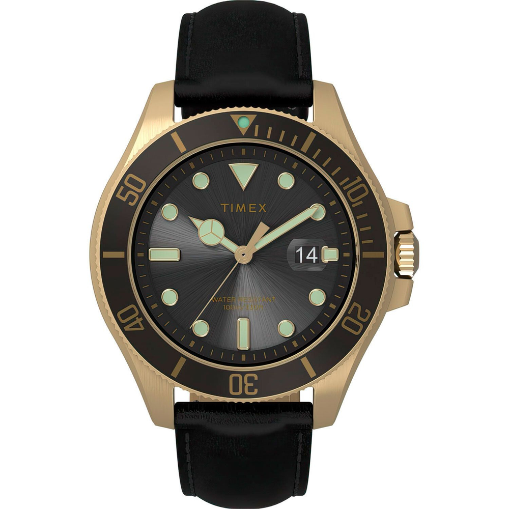 Мужские наручные часы Timex TW2V42200