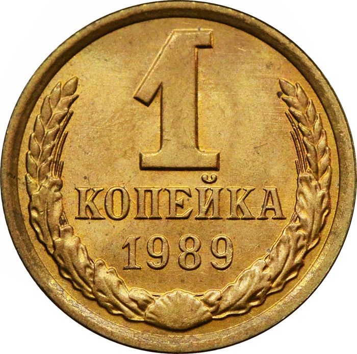 1 копейка 1989 Штемпельный блеск