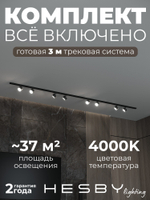 Комплект трековый Hesby Lighting Skylite No13 HSBL_kompl_S013_NI3B4K