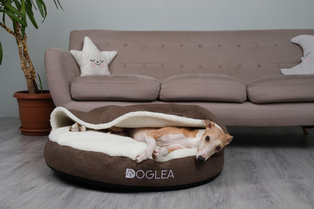 Лежак круглый DOGLEA RECTA FUR