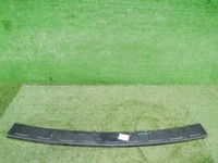 DSCN4208.JPG