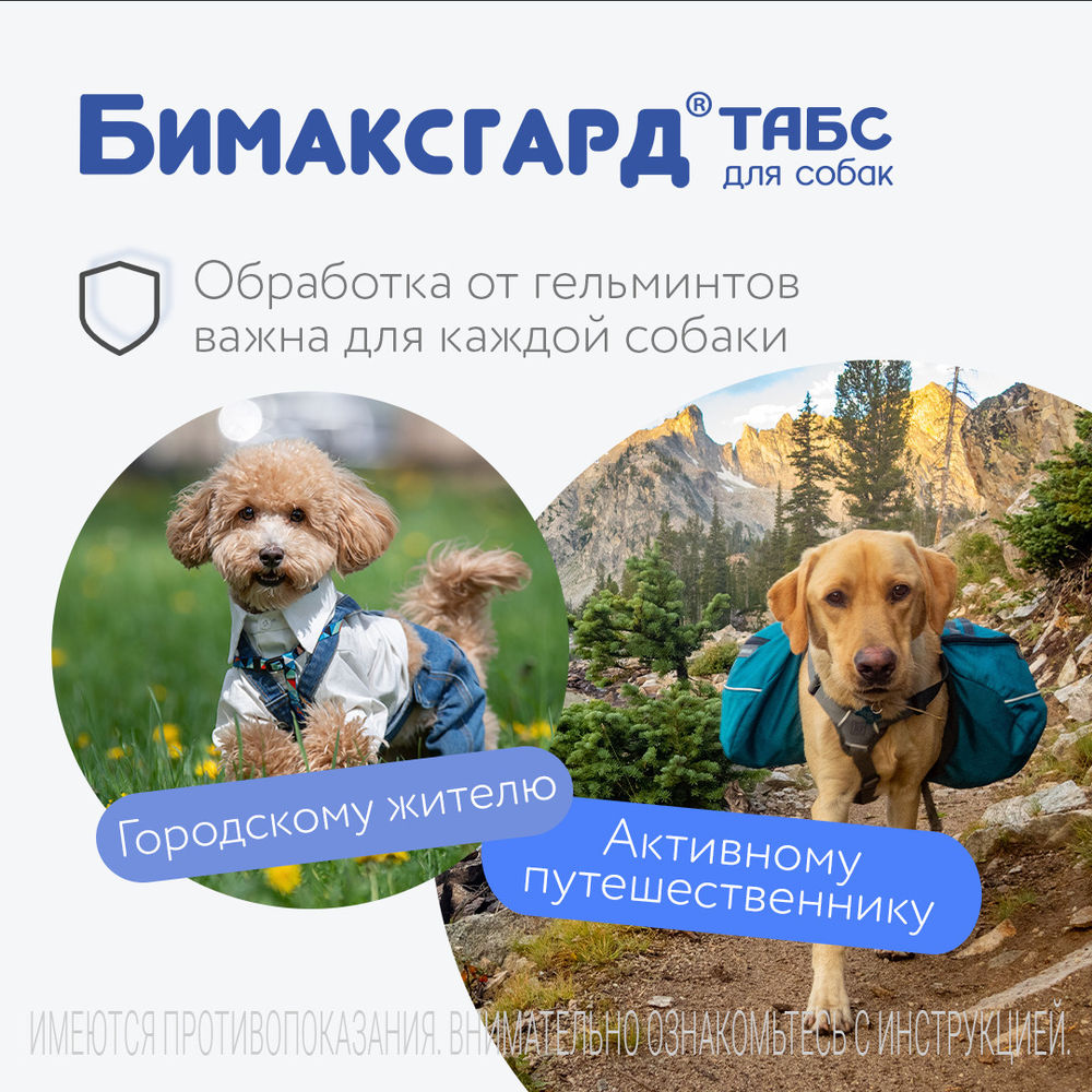 БИМАКСГАРД ТАБС Таблетки от глистов для щенков и собак мелких пород (2 таблетки)